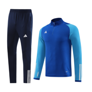 Adidas Blue Cold Set Quarter-Zip Top and Pants