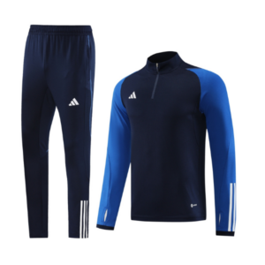 Adidas Blue Cold Set Quarter-Zip Top and Pants