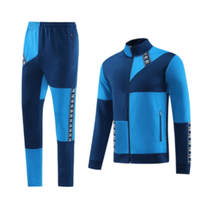 Adidas Blue Cold Set Jacket and Pants